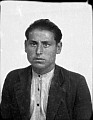 02856d.jpg