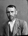 21180.jpg