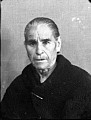 21190.jpg