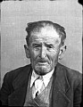 21191.jpg