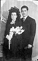 11050.jpg