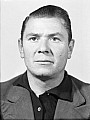 25447.jpg