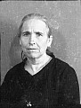 21687.jpg