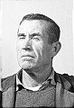 04143d.jpg