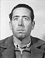26064.jpg