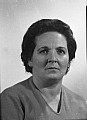 13191.jpg